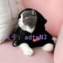 ǰ