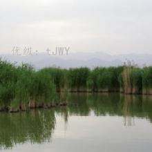 ½