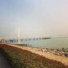 ˲