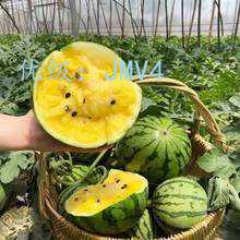 Ļ