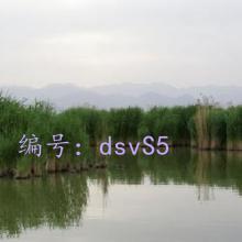 ½